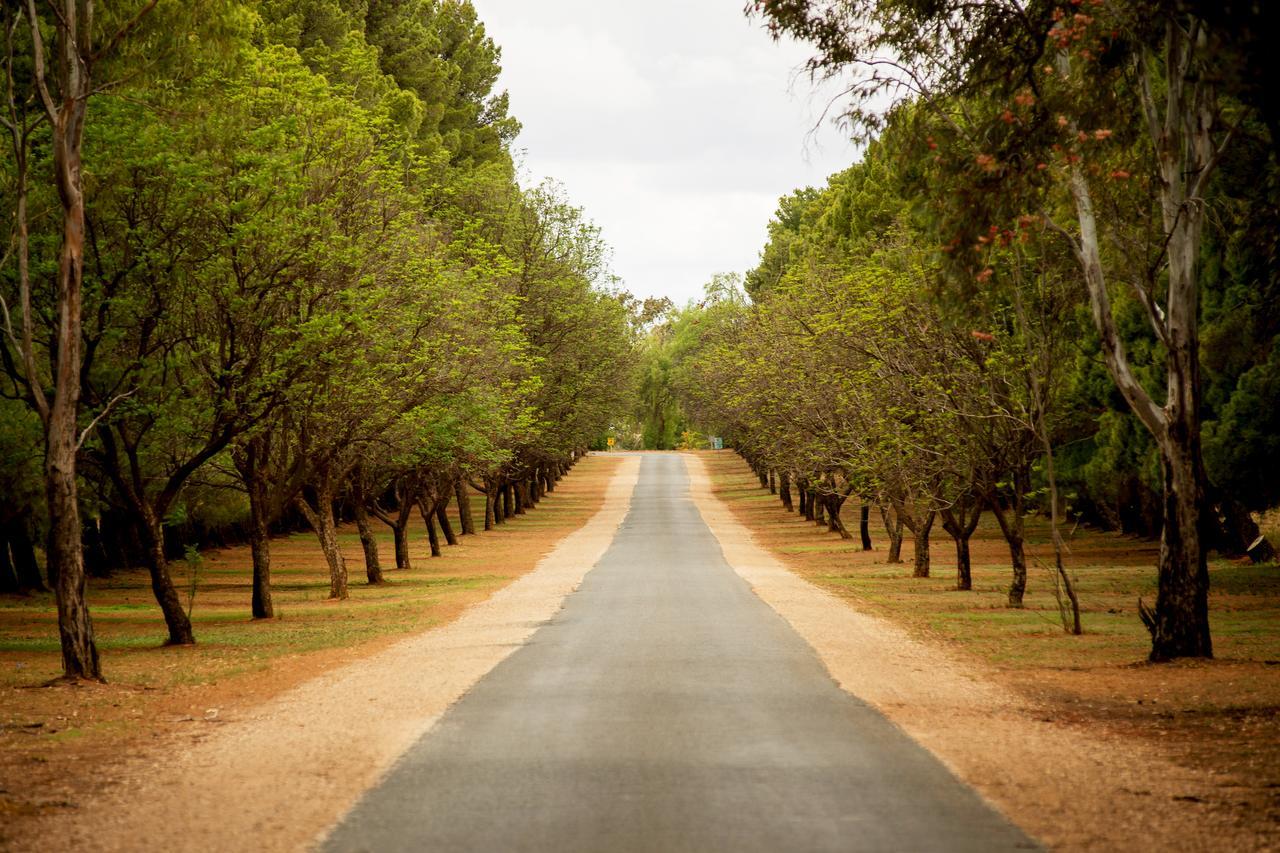 Renmark Country Club Luaran gambar