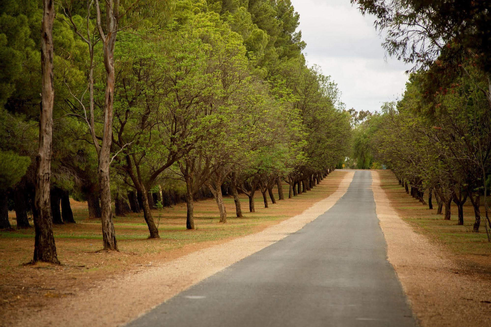 Renmark Country Club Luaran gambar