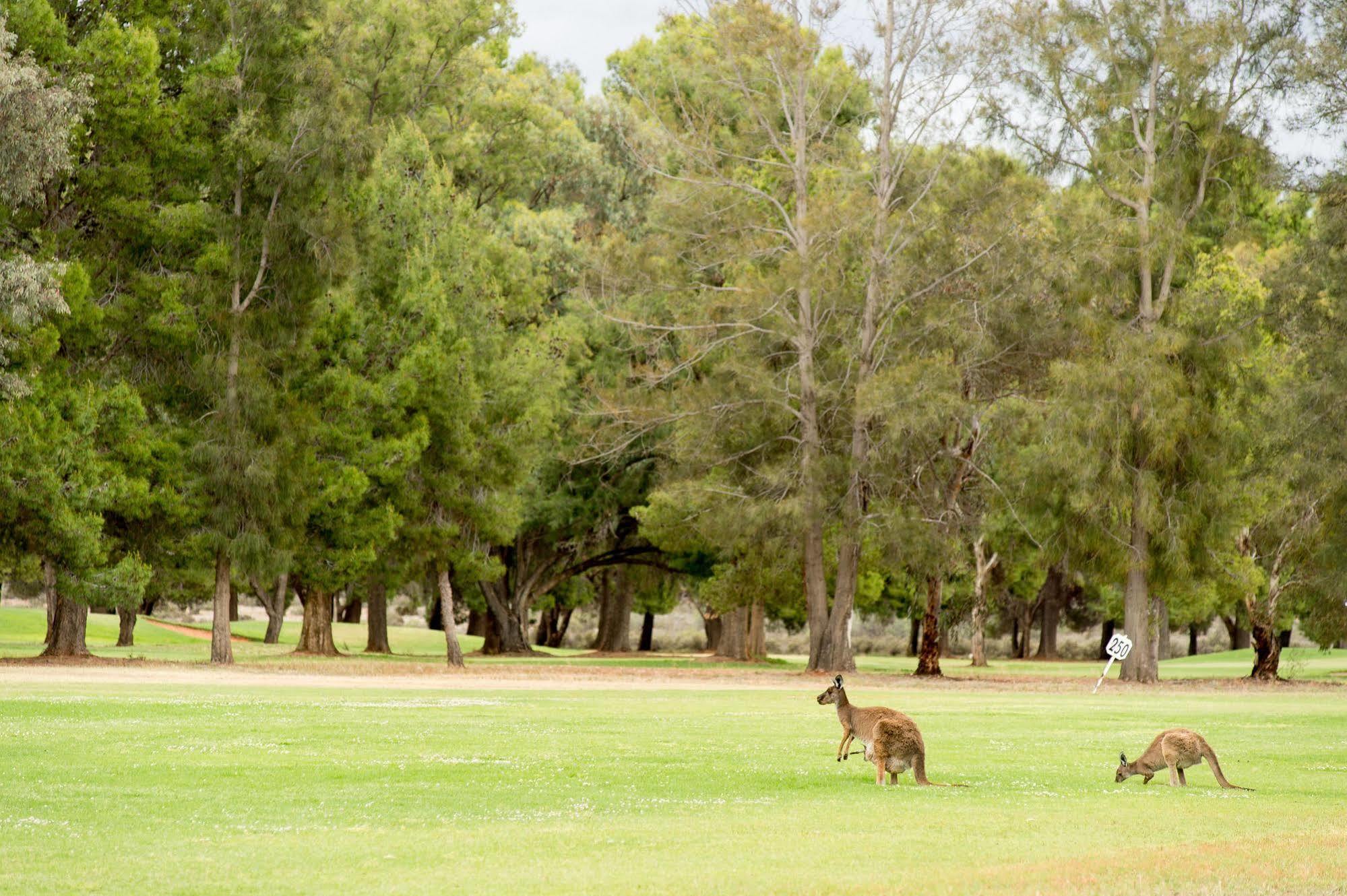 Renmark Country Club Luaran gambar