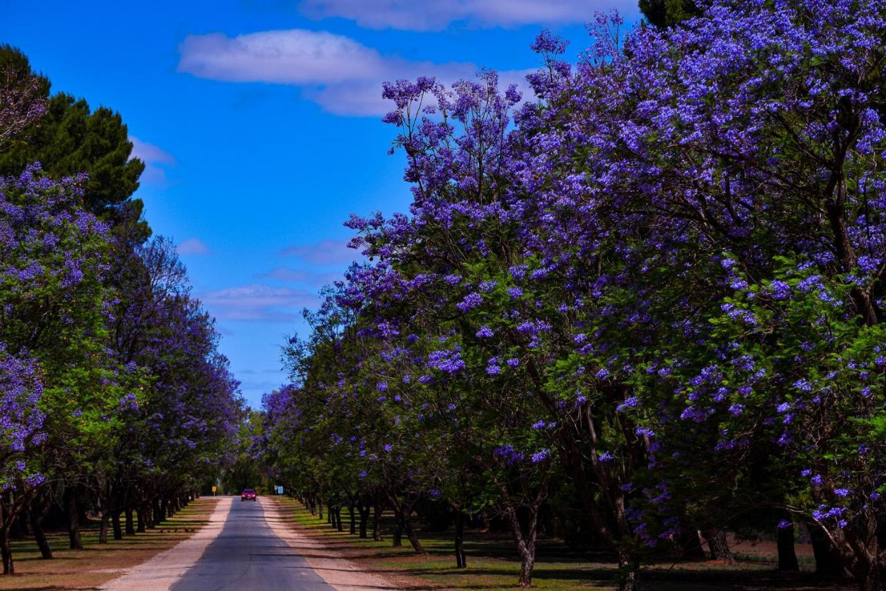 Renmark Country Club Luaran gambar