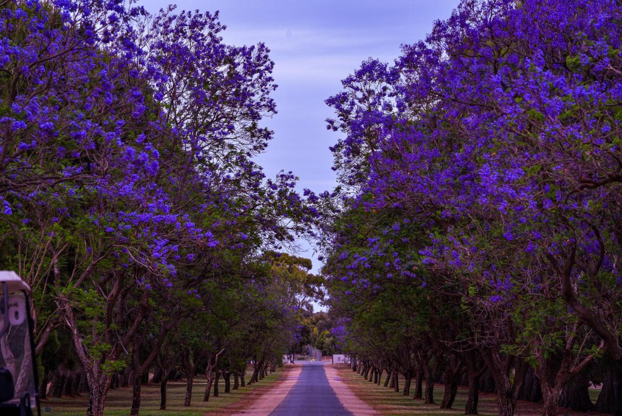 Renmark Country Club Luaran gambar