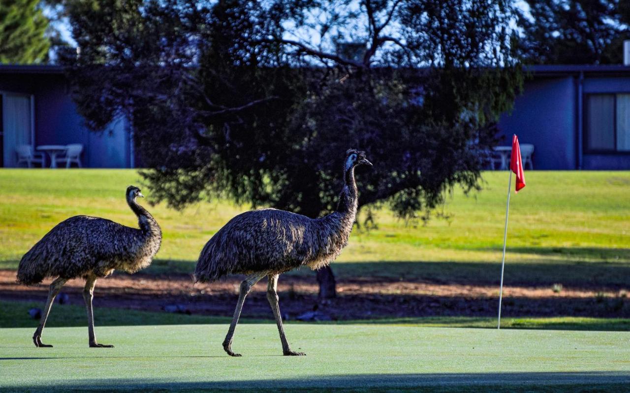 Renmark Country Club Luaran gambar