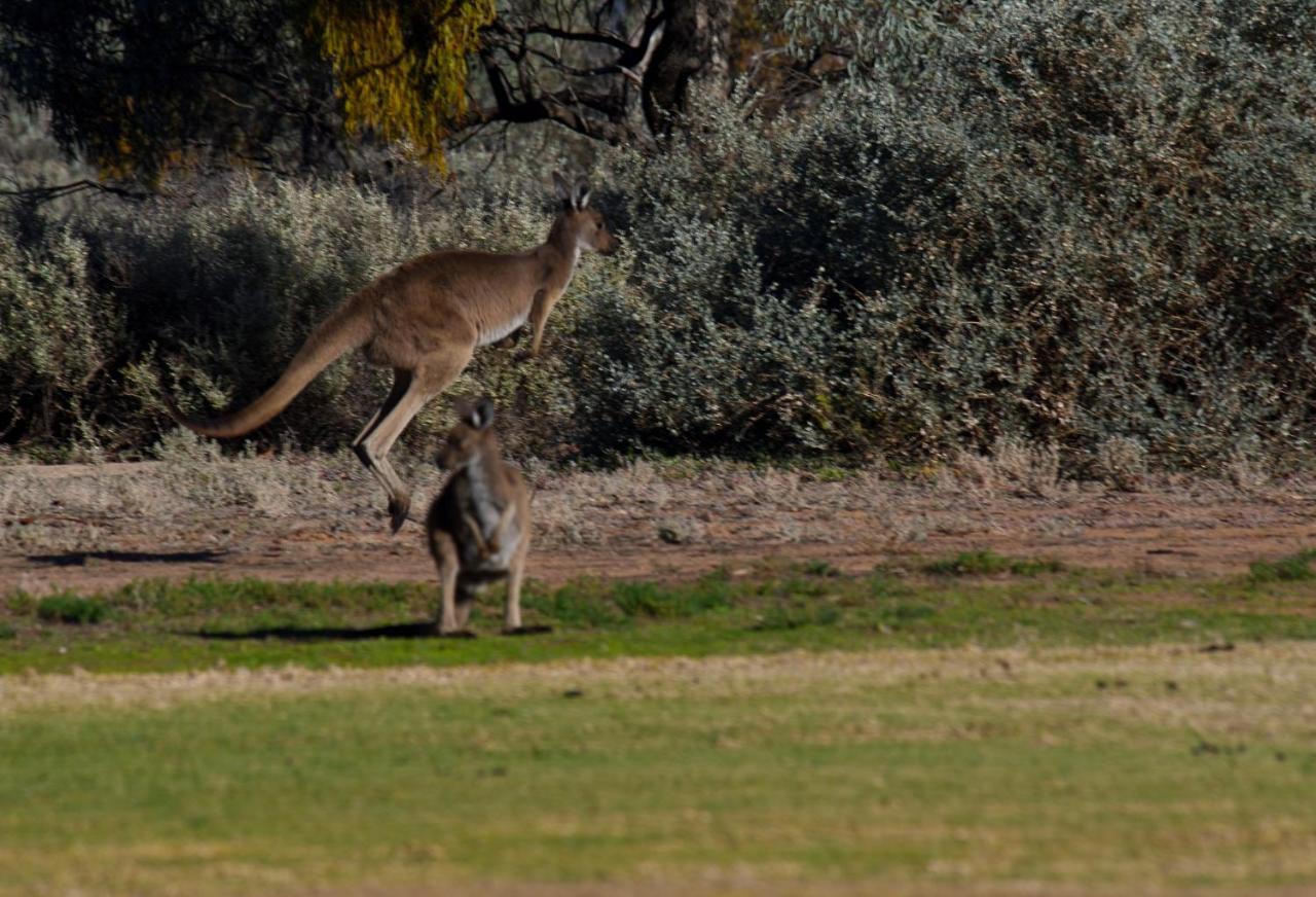 Renmark Country Club Luaran gambar